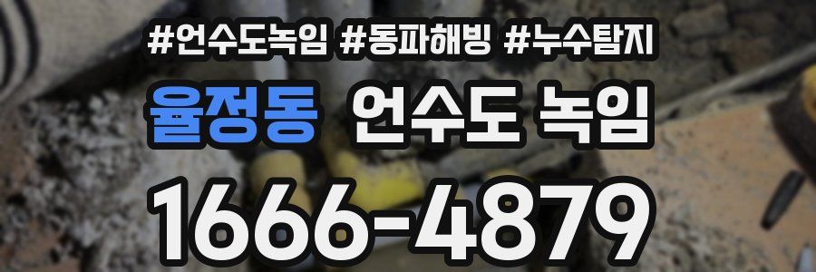 율정동 언수도 녹임