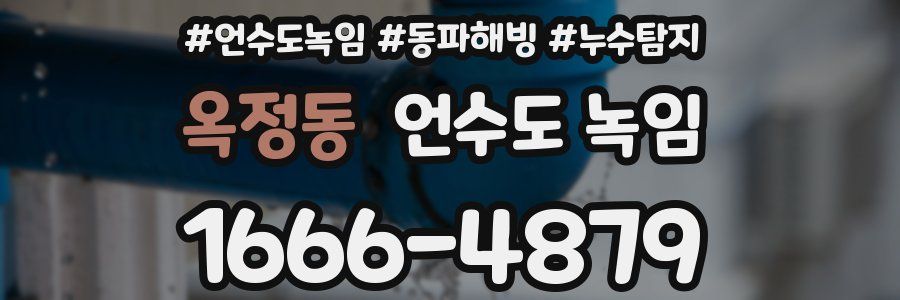 옥정동 언수도 녹임