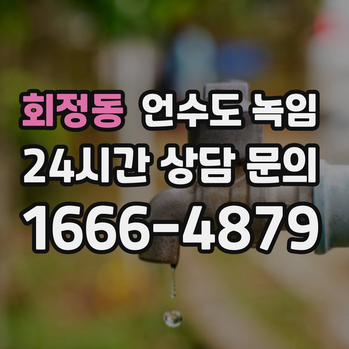 회정동 언수도 녹임