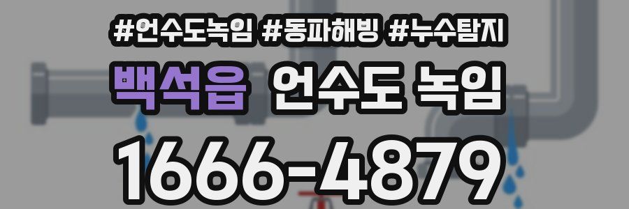 백석읍 언수도 녹임