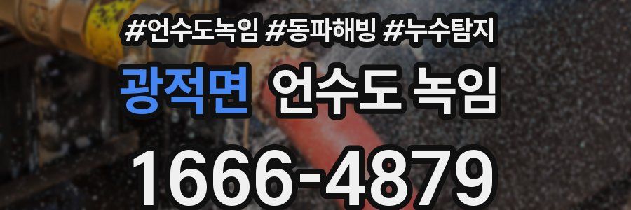 광적면 언수도 녹임