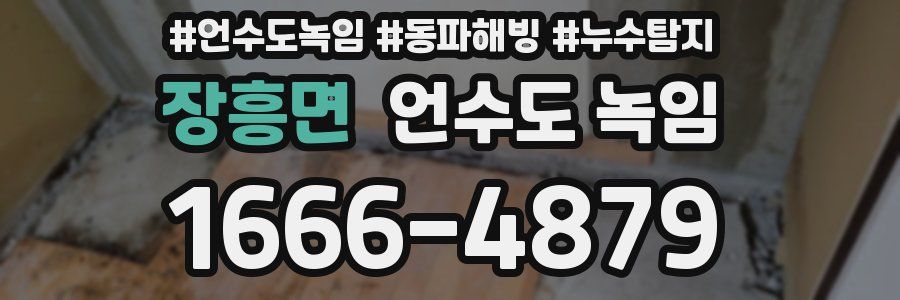 장흥면 언수도 녹임