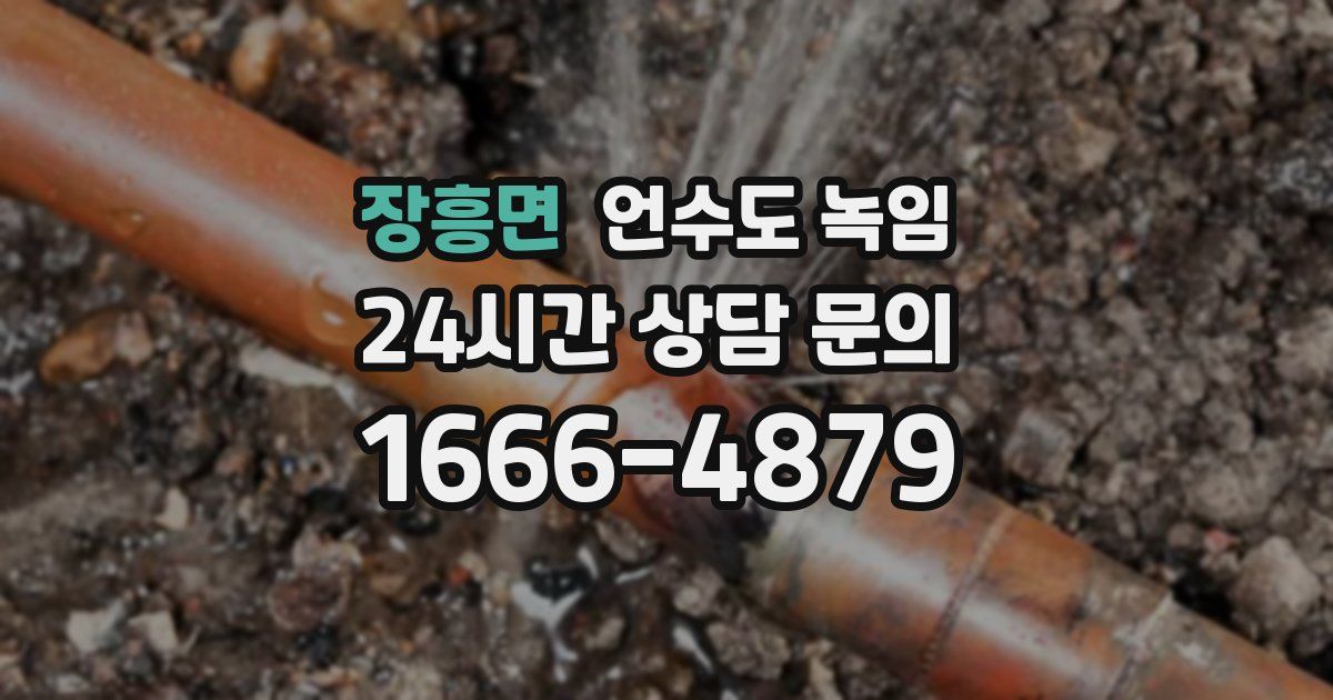 장흥면 언수도 녹임