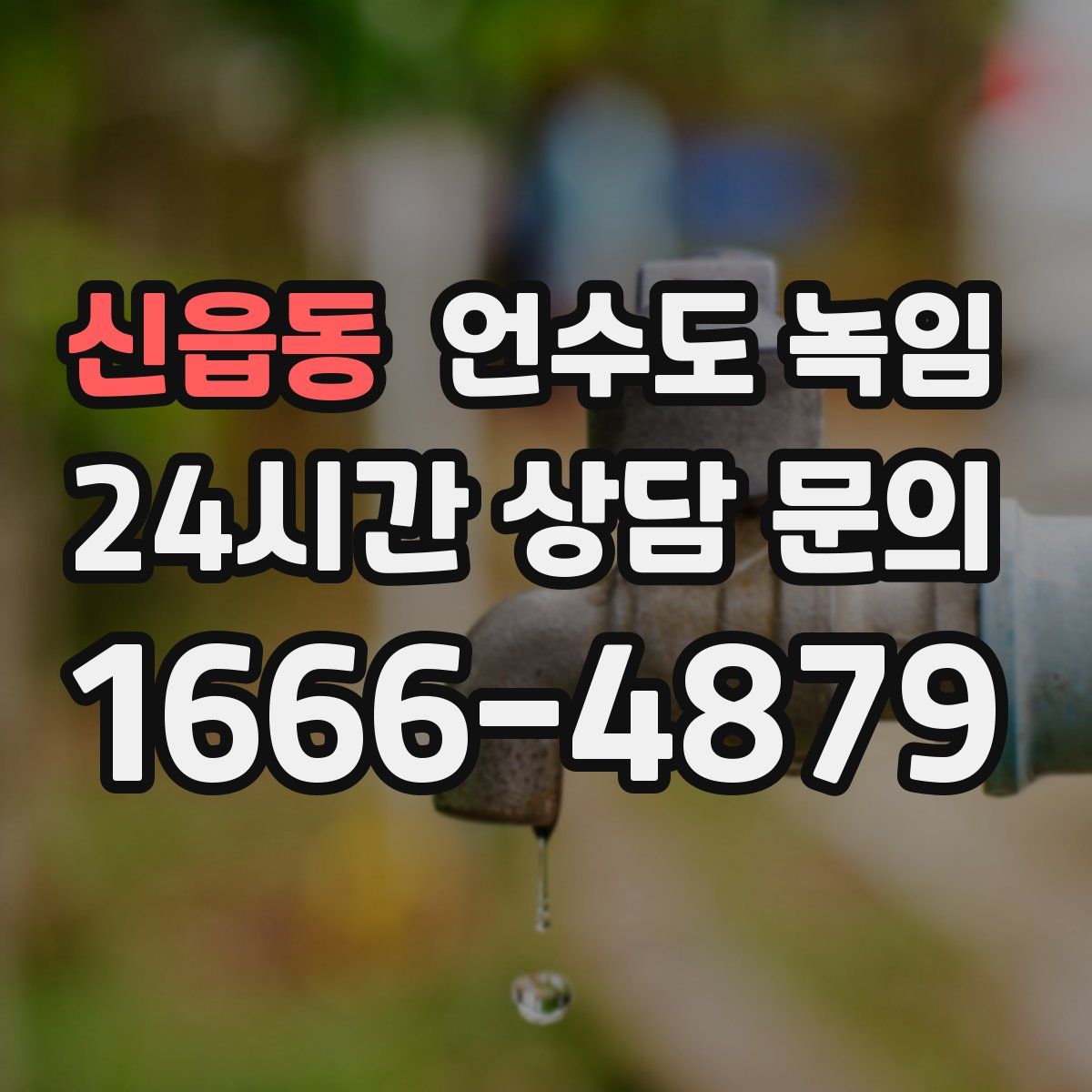 신읍동 언수도 녹임