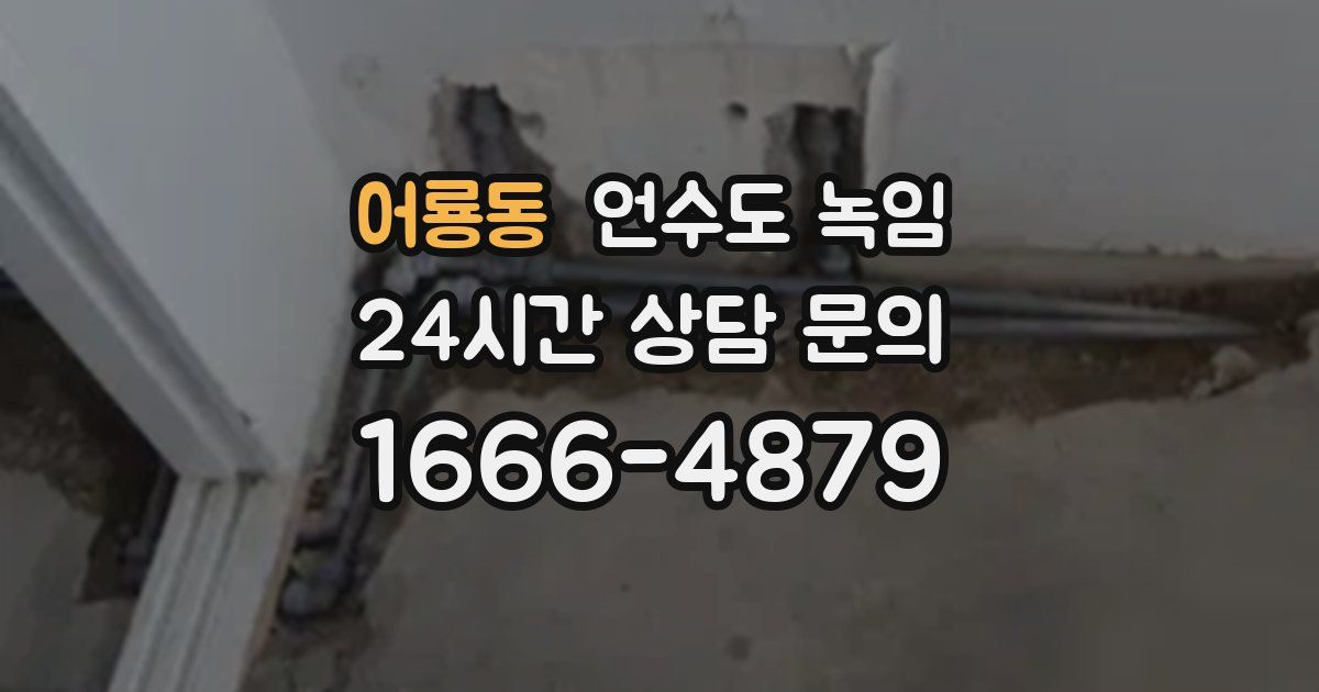 어룡동 언수도 녹임