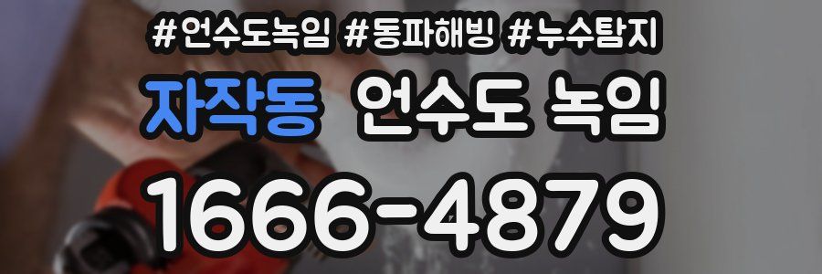 자작동 언수도 녹임