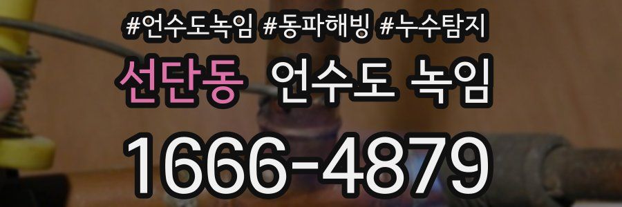 선단동 언수도 녹임