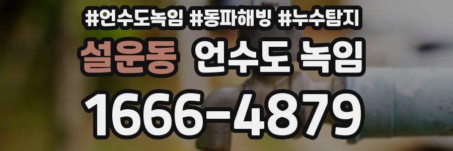 설운동 언수도 녹임