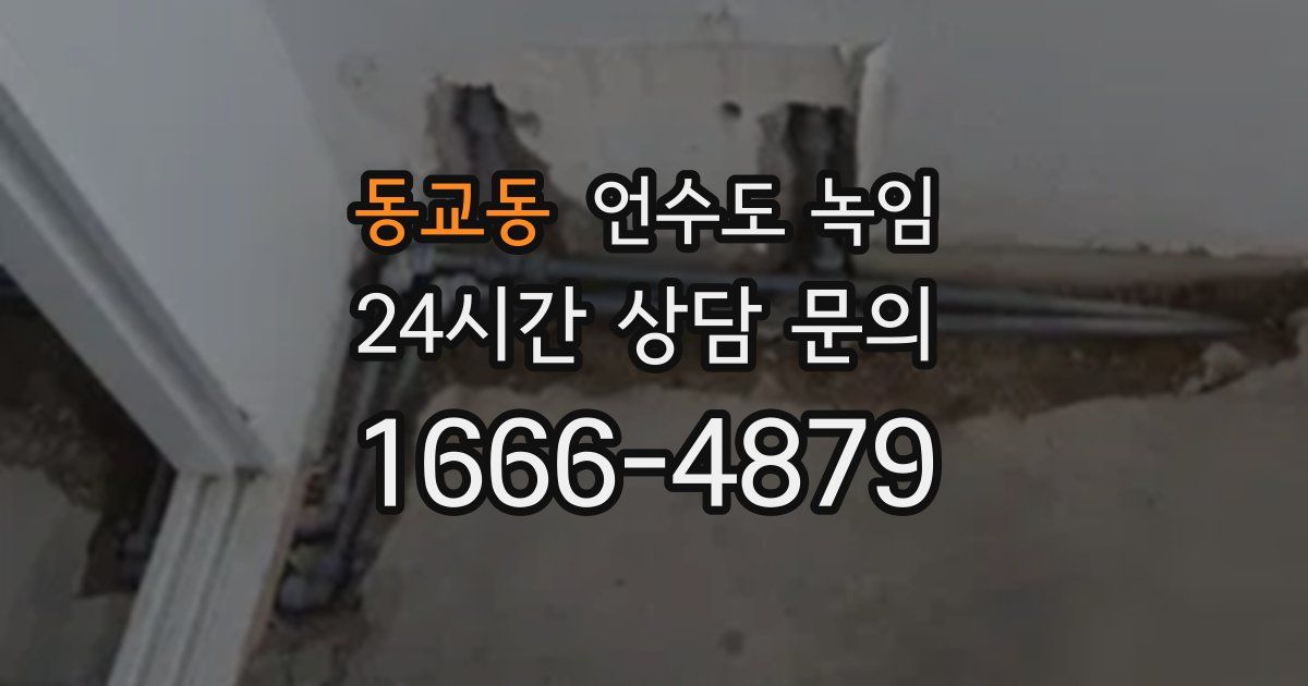 동교동 언수도 녹임