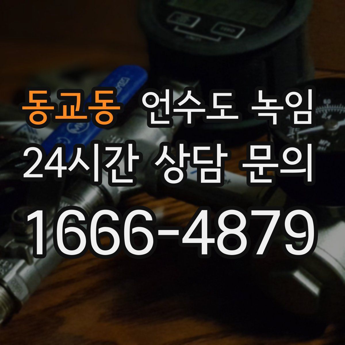 동교동 언수도 녹임