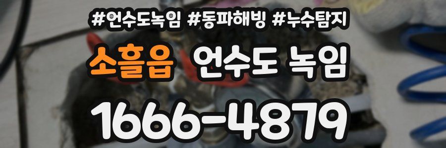 소흘읍 언수도 녹임