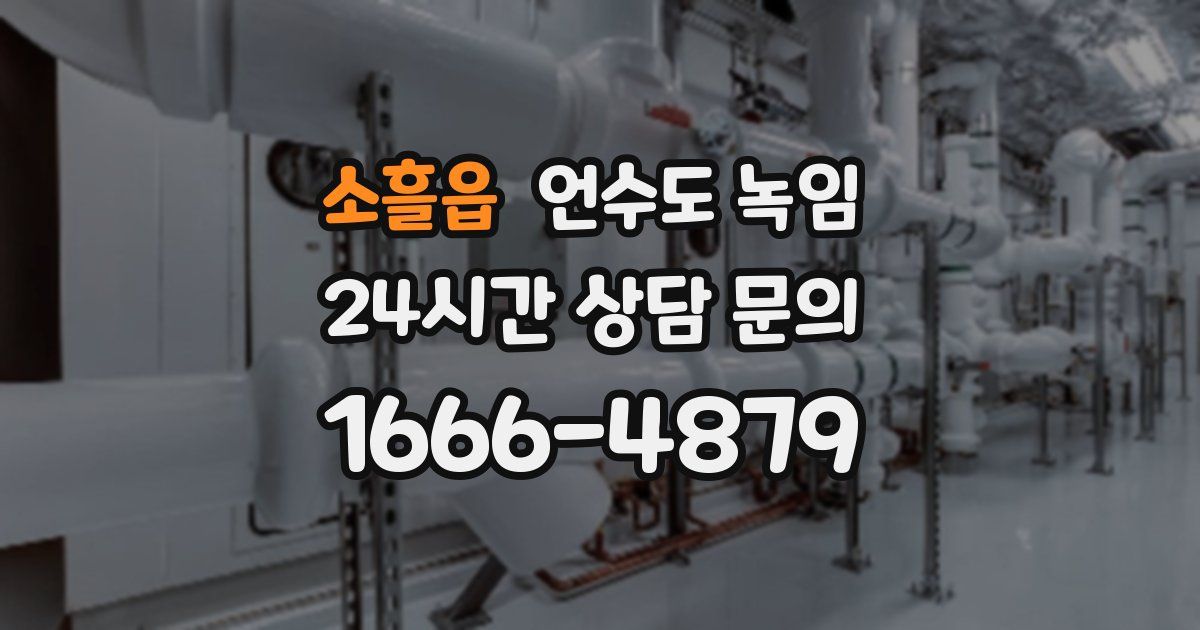 소흘읍 언수도 녹임