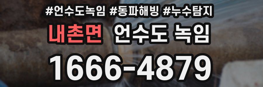 내촌면 언수도 녹임