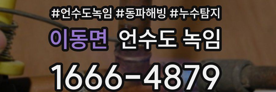 이동면 언수도 녹임