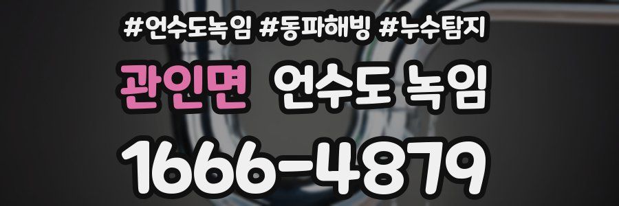 관인면 언수도 녹임