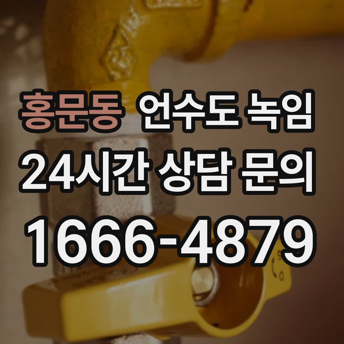 홍문동 언수도 녹임