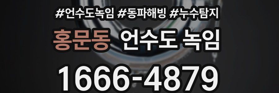 홍문동 언수도 녹임