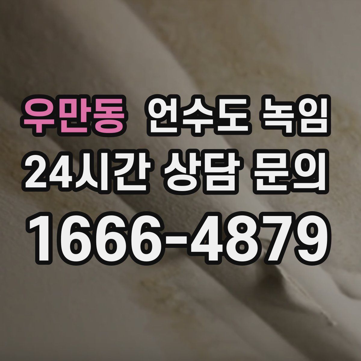 우만동 언수도 녹임