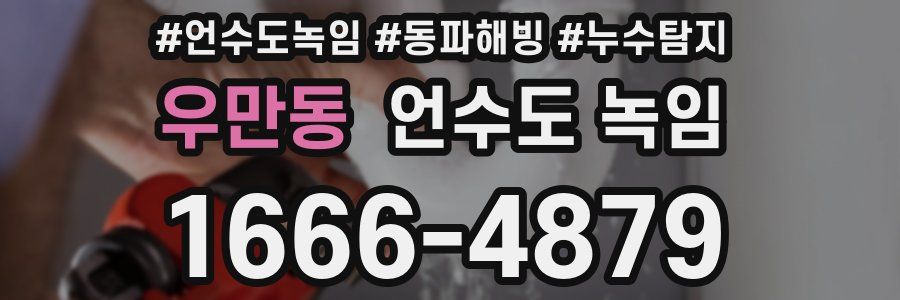 우만동 언수도 녹임