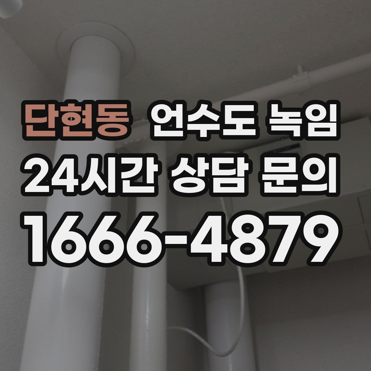 단현동 언수도 녹임