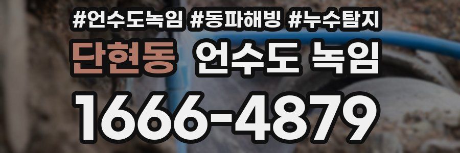 단현동 언수도 녹임