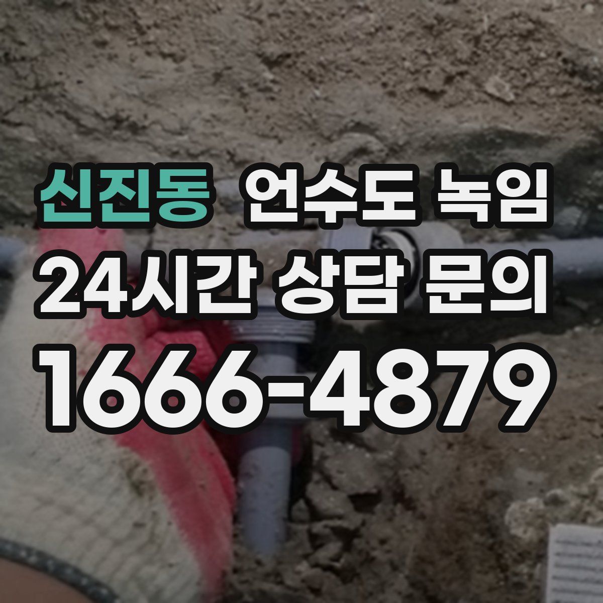 신진동 언수도 녹임