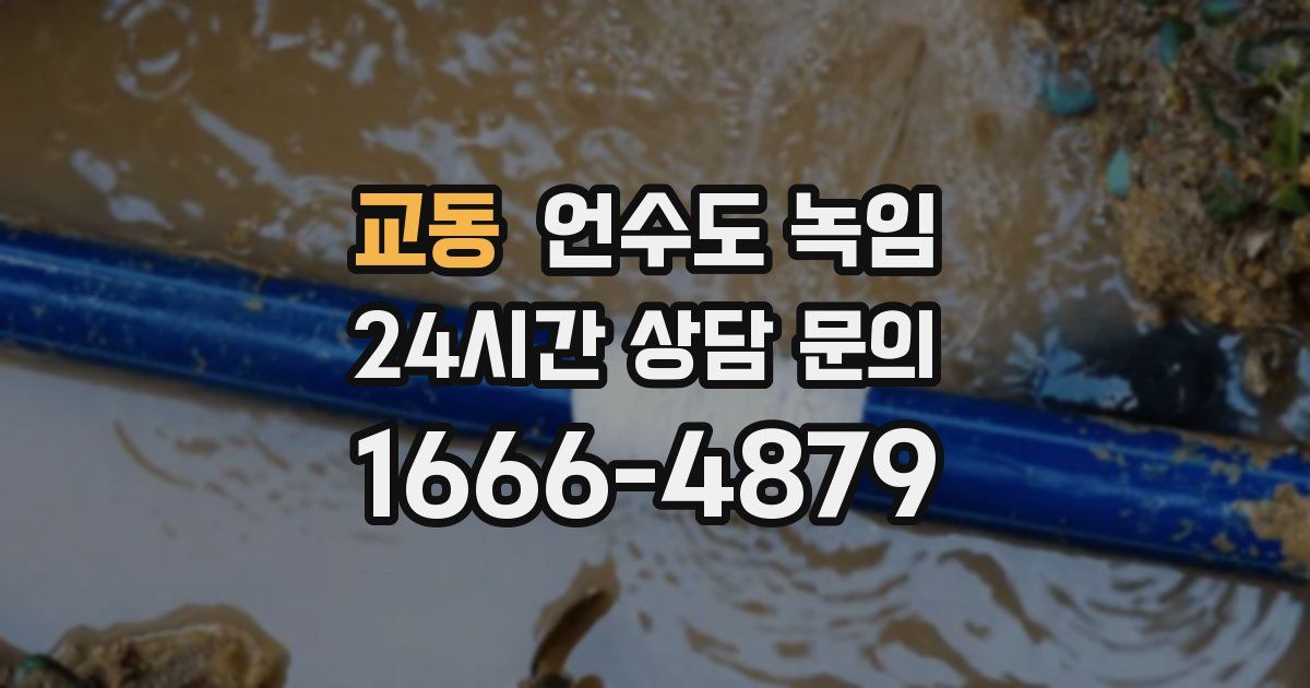 교동 언수도 녹임