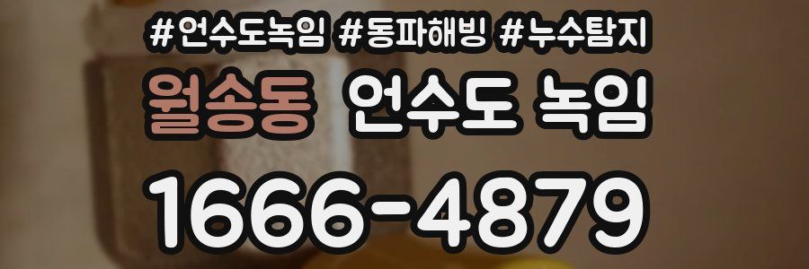 월송동 언수도 녹임