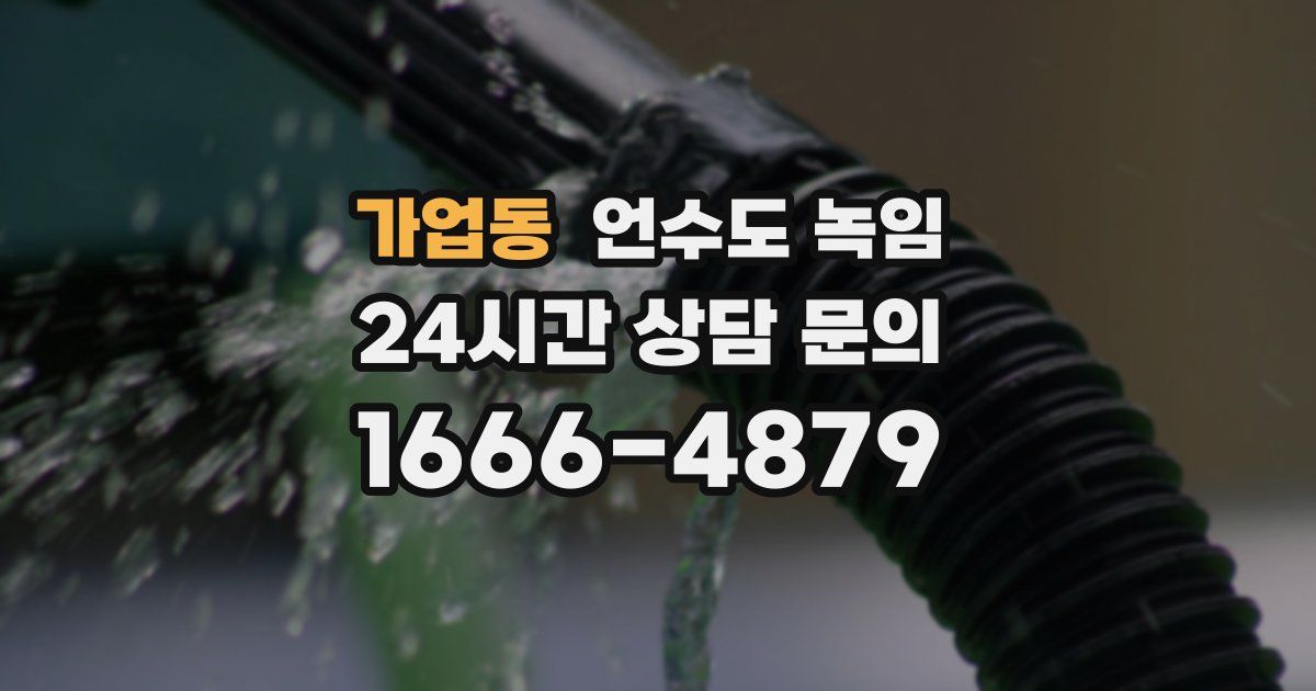 가업동 언수도 녹임