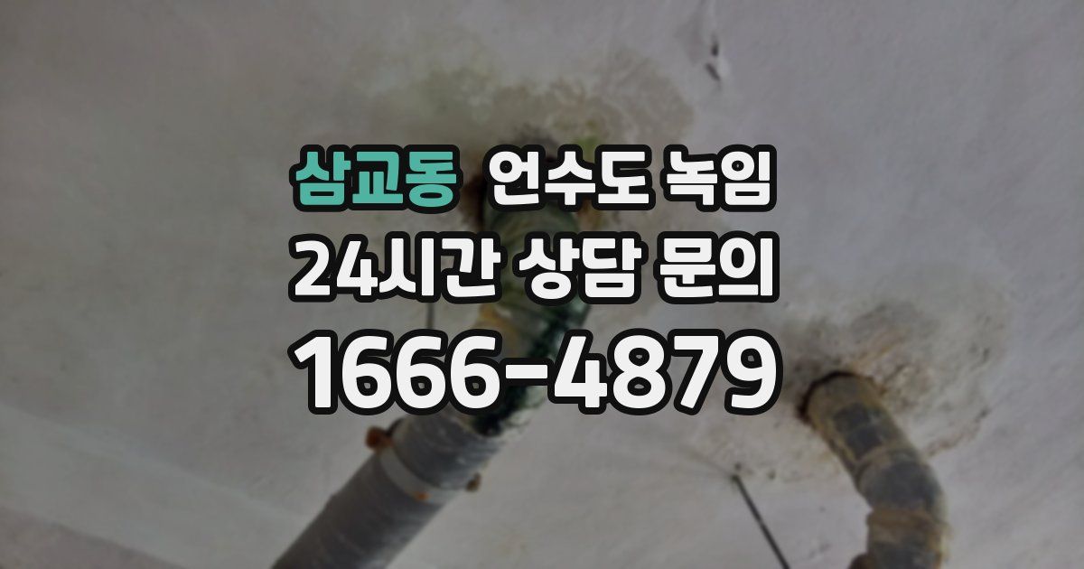 삼교동 언수도 녹임