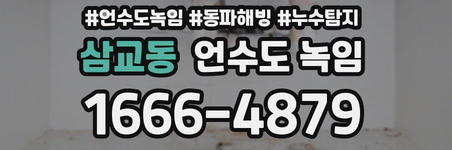 삼교동 언수도 녹임