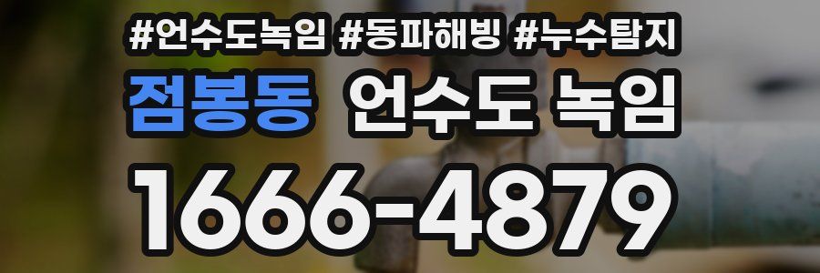 점봉동 언수도 녹임