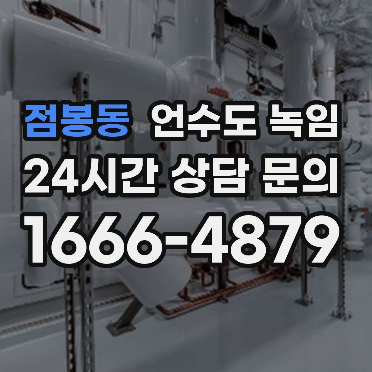 점봉동 언수도 녹임