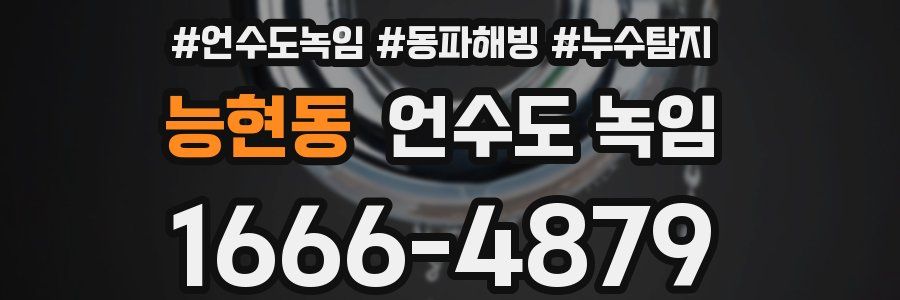 능현동 언수도 녹임