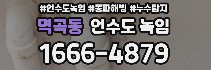 멱곡동 언수도 녹임