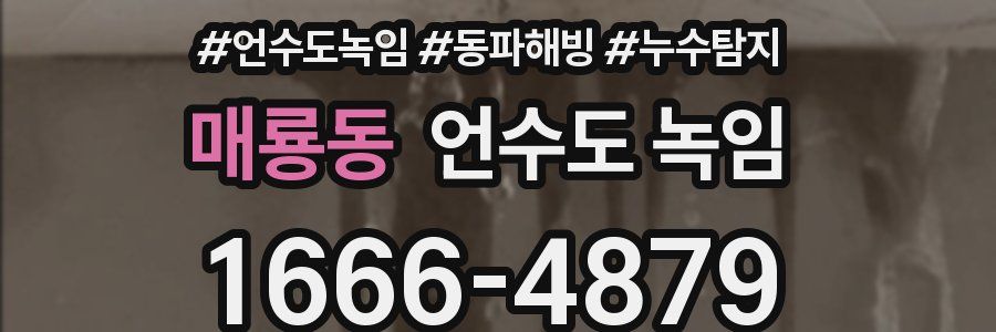 매룡동 언수도 녹임