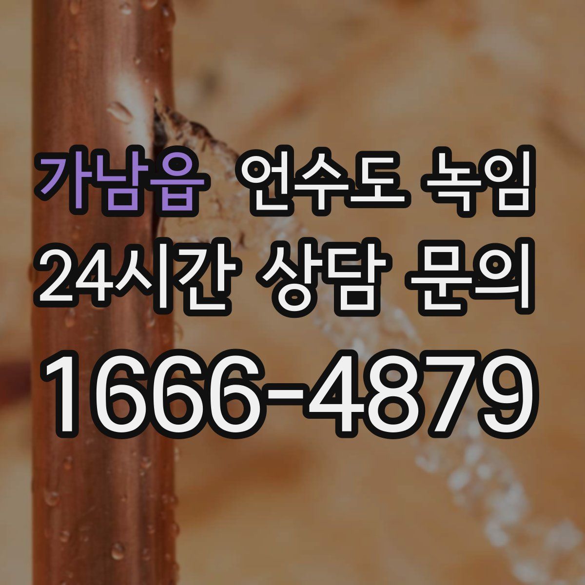 가남읍 언수도 녹임