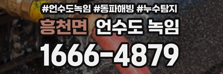 흥천면 언수도 녹임