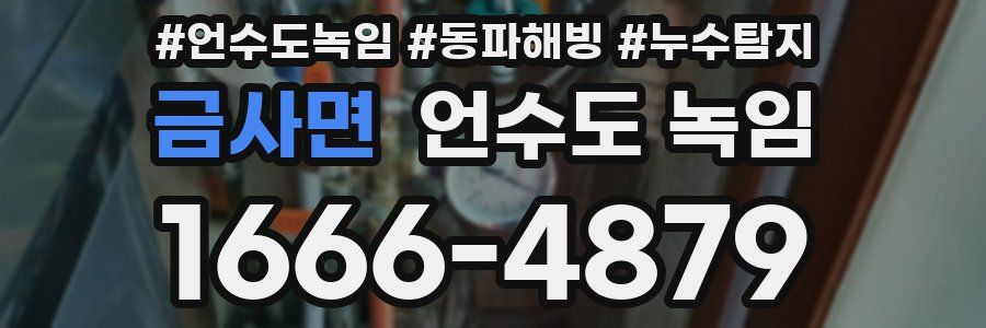 금사면 언수도 녹임