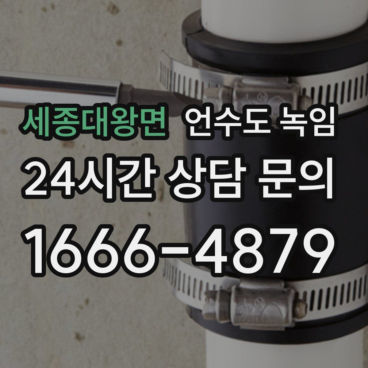 세종대왕면 언수도 녹임