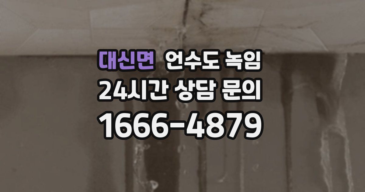 대신면 언수도 녹임