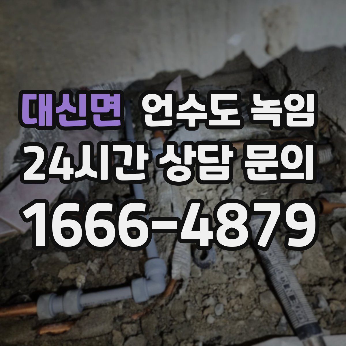 대신면 언수도 녹임