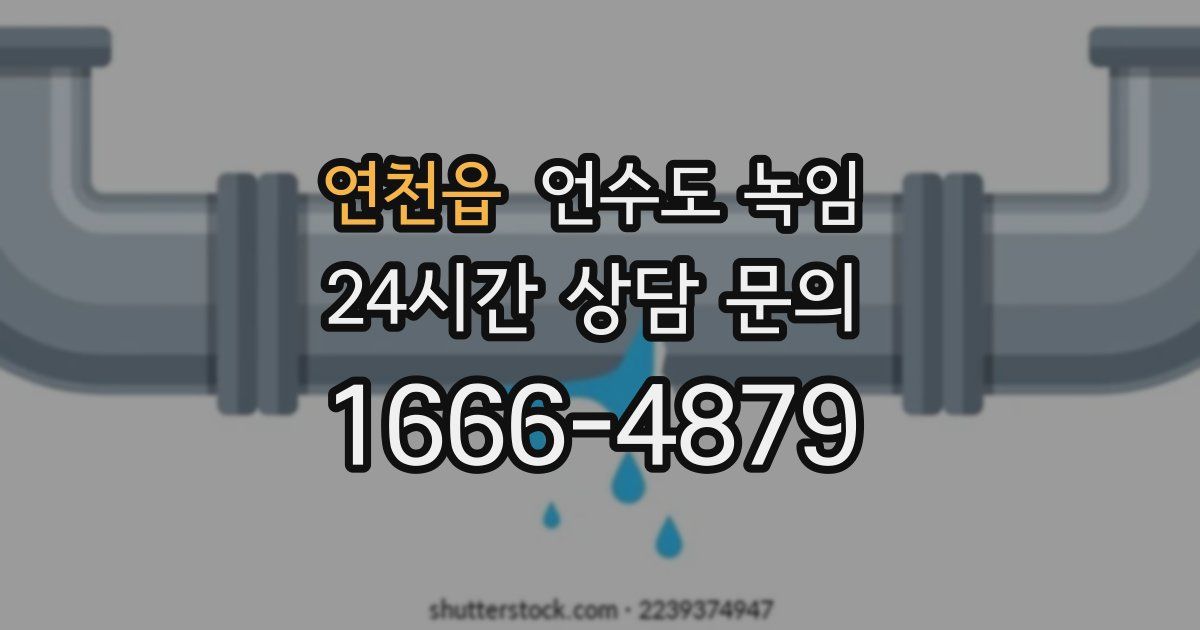 연천읍 언수도 녹임