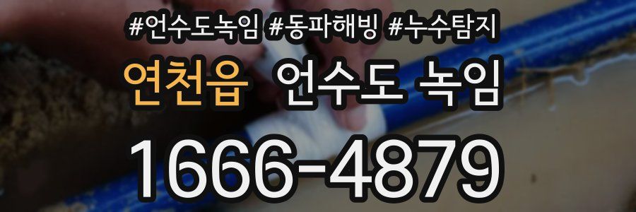 연천읍 언수도 녹임