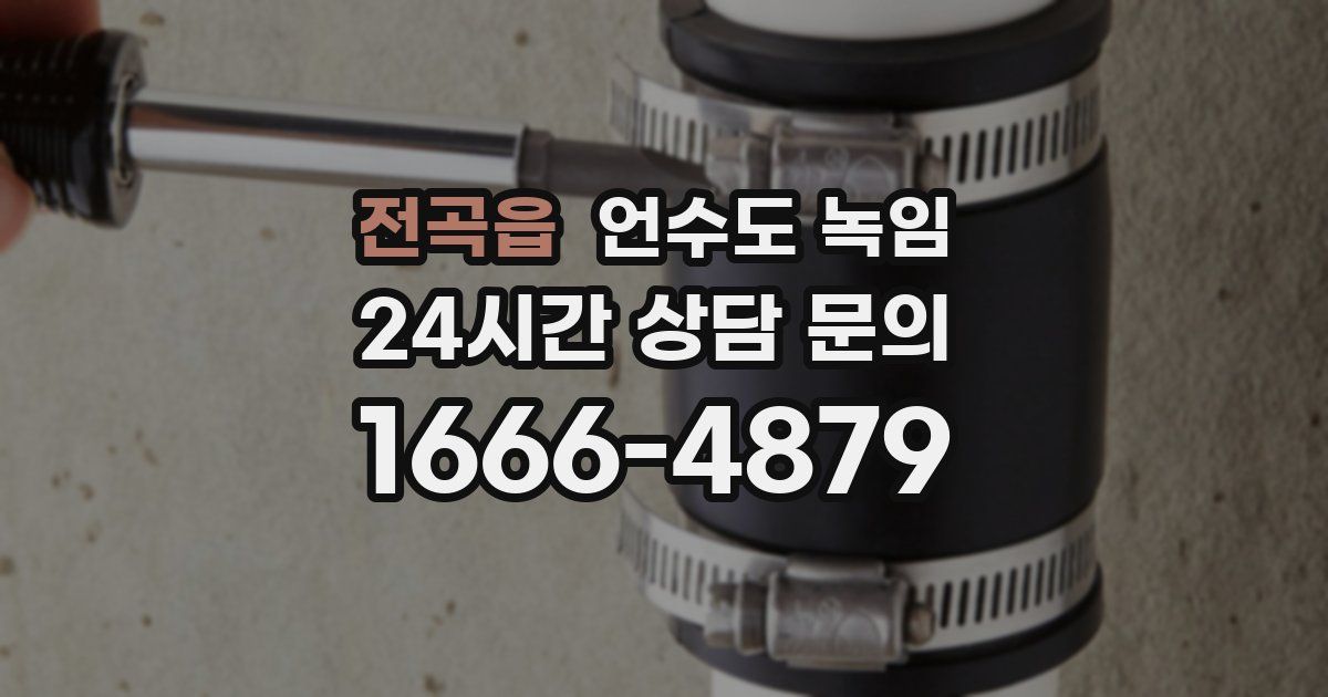 전곡읍 언수도 녹임