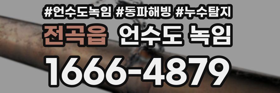 전곡읍 언수도 녹임