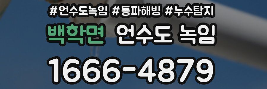 백학면 언수도 녹임