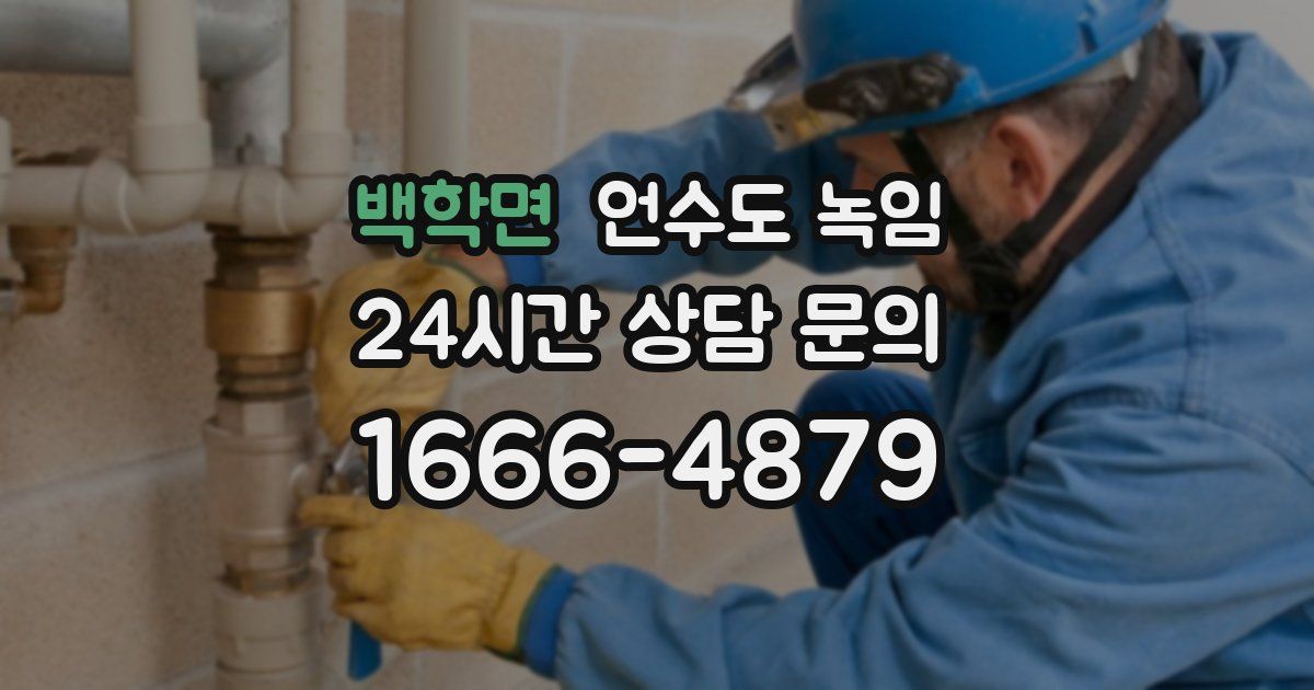 백학면 언수도 녹임