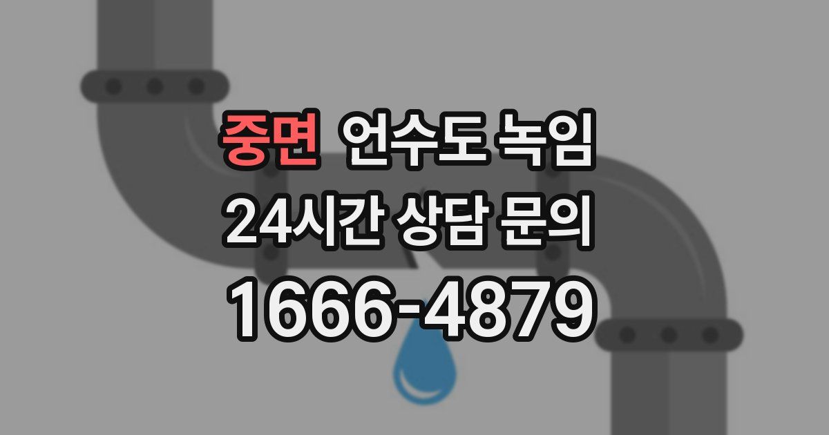 중면 언수도 녹임