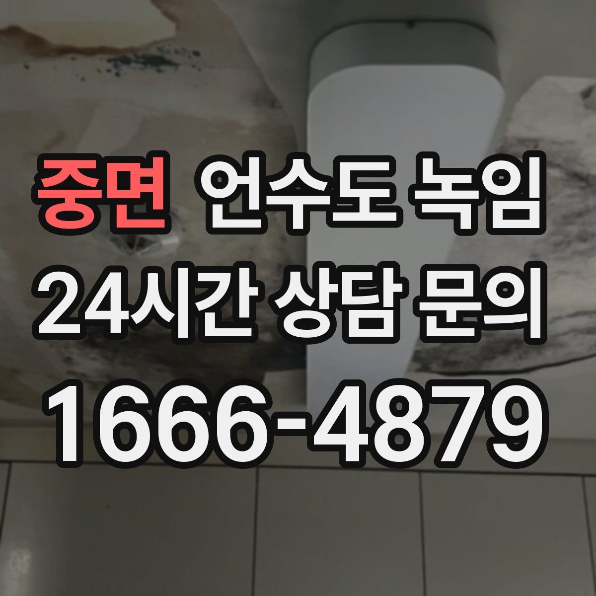 중면 언수도 녹임